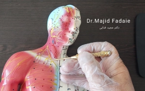 article-neuroscience-header عصب شناسی ناحیه سر و گردن و گوش برای نشان دادن حجم تراکم عصب ها و عصب واگ که در داخل خود گوش است.